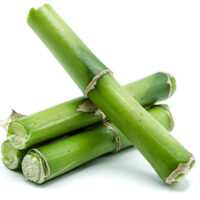 Bamboo Bamboo